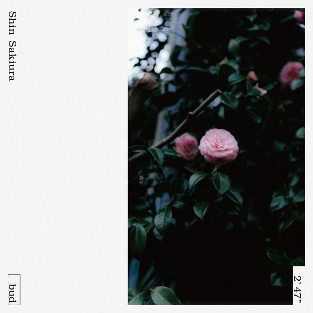 Album cover art for bud - Single