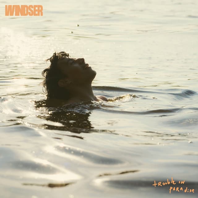 Album cover art for Trouble In Paradise