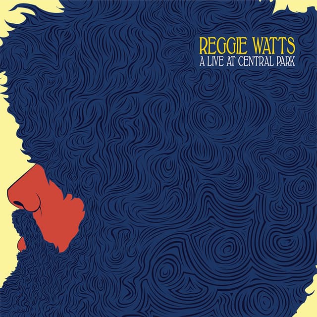 Album cover art for A Live At Central Park