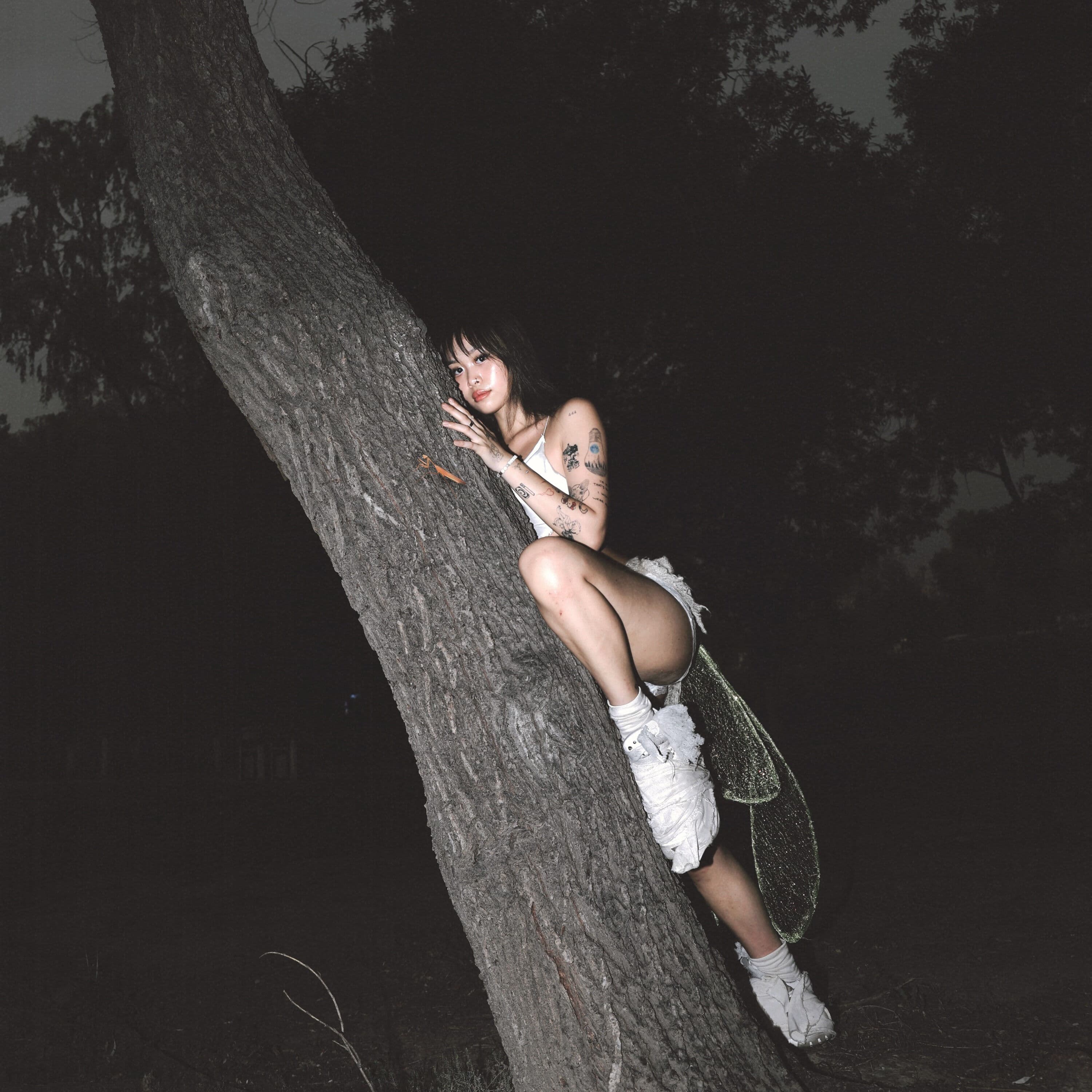 Lyric cover art