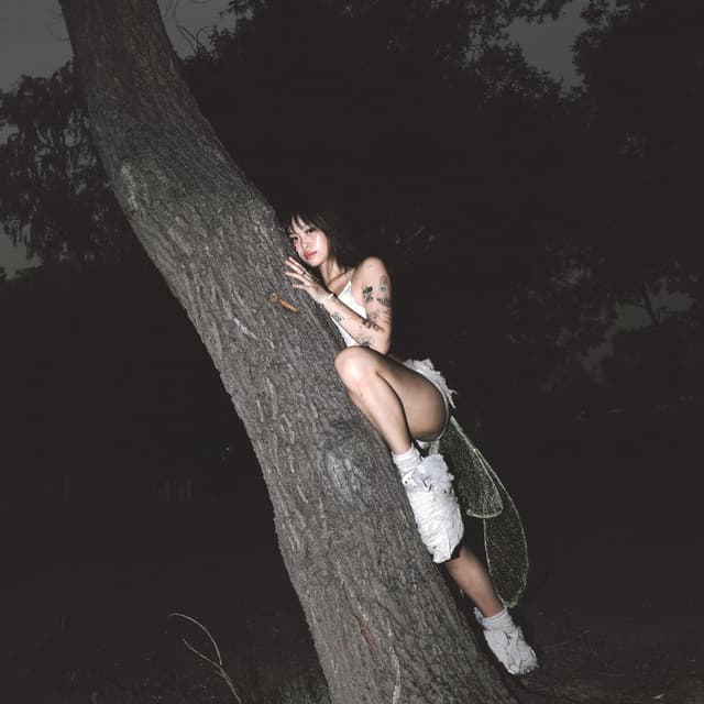 Album cover art for mantis