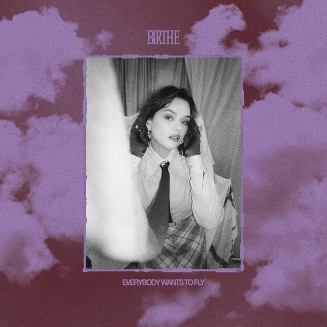 Album cover art for Everybody Wants To Fly