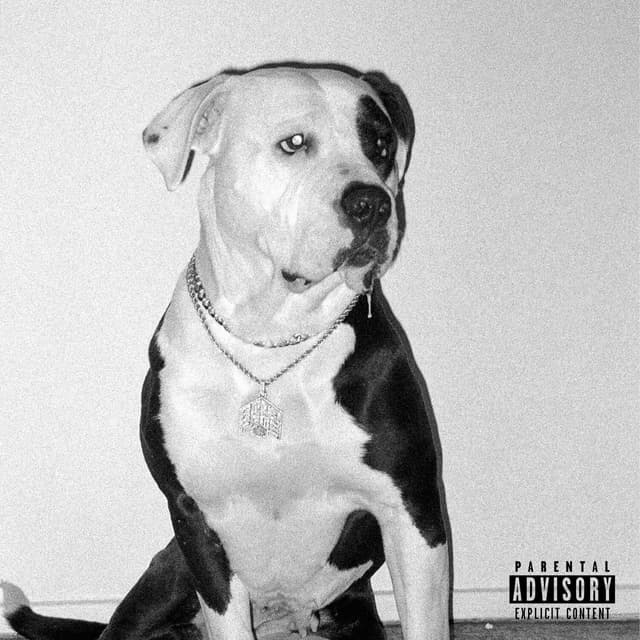 Album cover art for 7 SUR 7