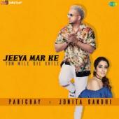 Album cover art for Jeeya Mar Ke Tum Mile Dil Khile - Single