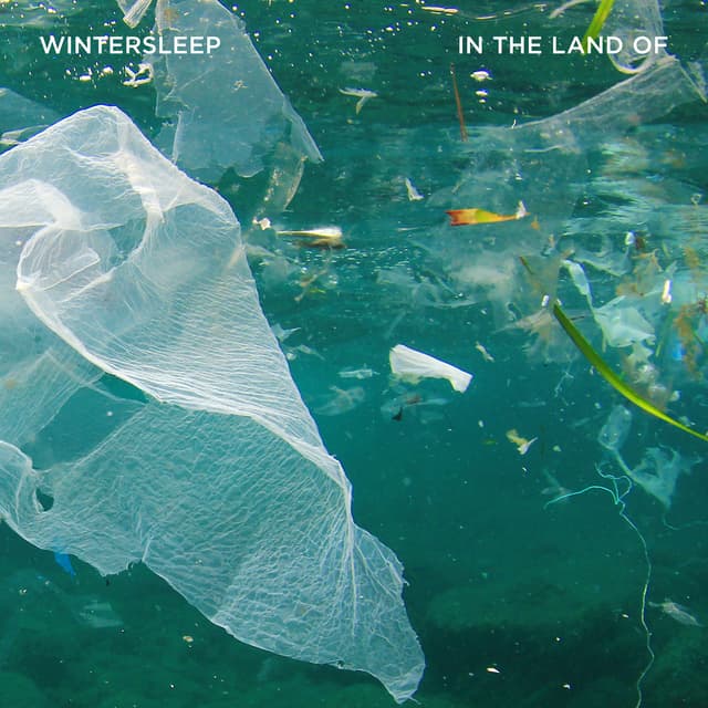 Album cover art for In The Land Of