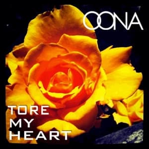 Album cover art for Tore My Heart