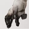 Tsar Hand