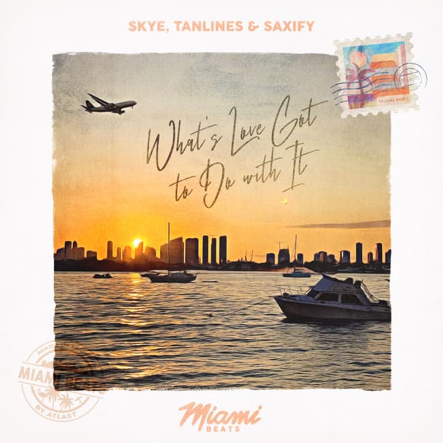 Album cover art for What's Love Got to Do with It