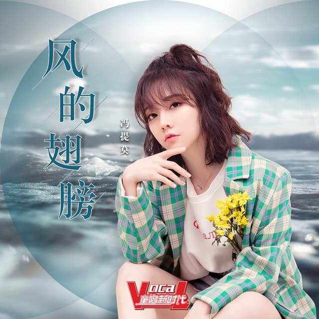 Album cover art for 风的翅膀