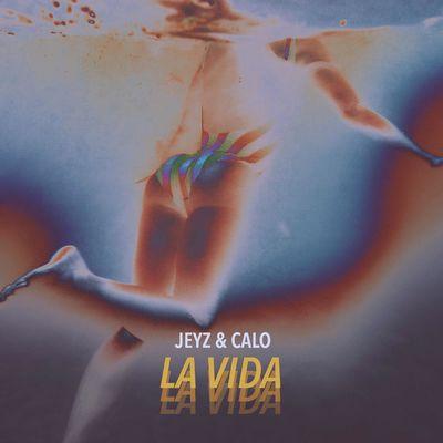 Album cover art for La Vida