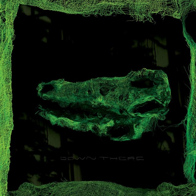 Album cover art for Down There