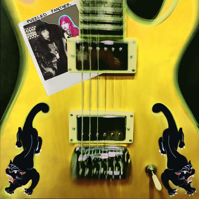 Album cover art for Puzzled Panther