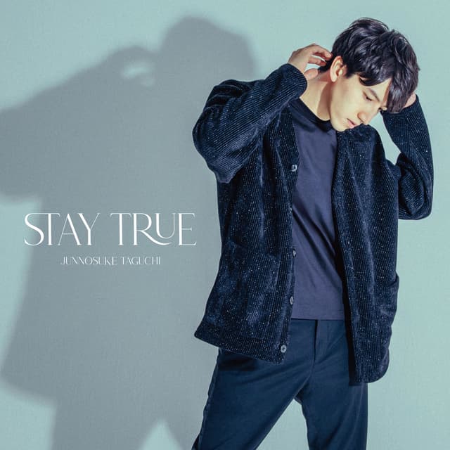 Album cover art for Stay True