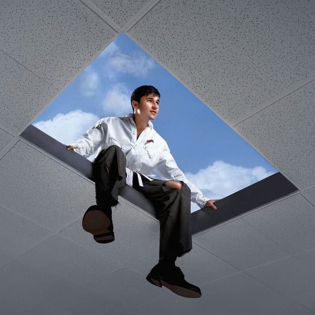 Album cover art for Shadows