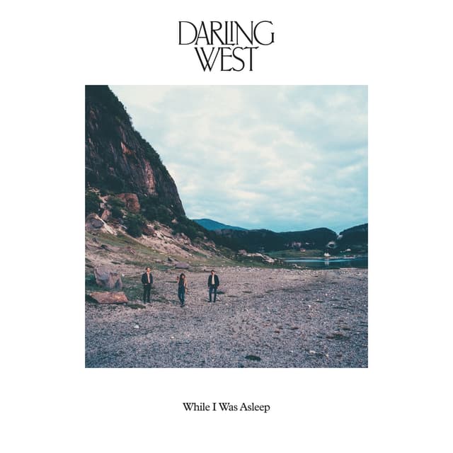 Album cover art for While I Was Asleep