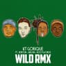 Wild RMX