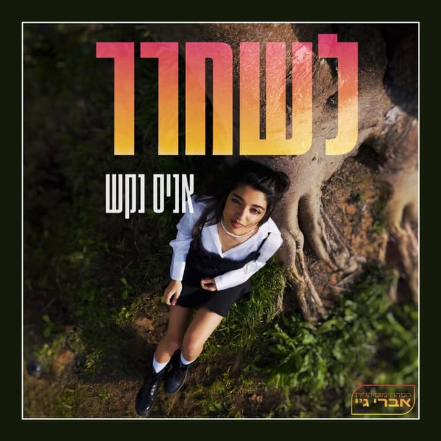 Album cover art for לשחרר
