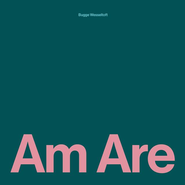 Album cover art for Am Are