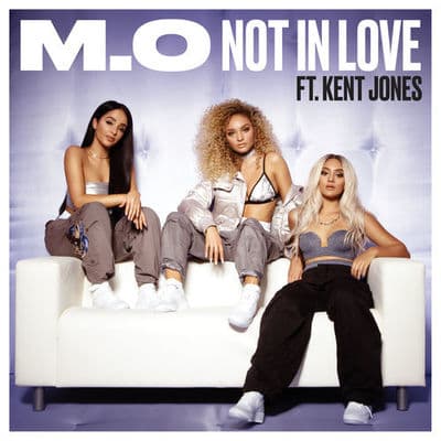Album cover art for Not In Love