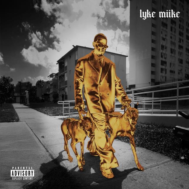 Album cover art for LYKE MIIKE