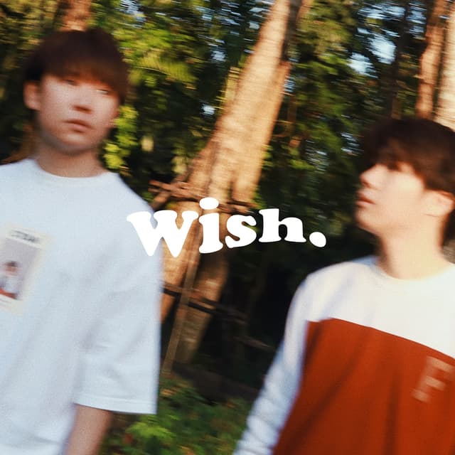 Album cover art for wish