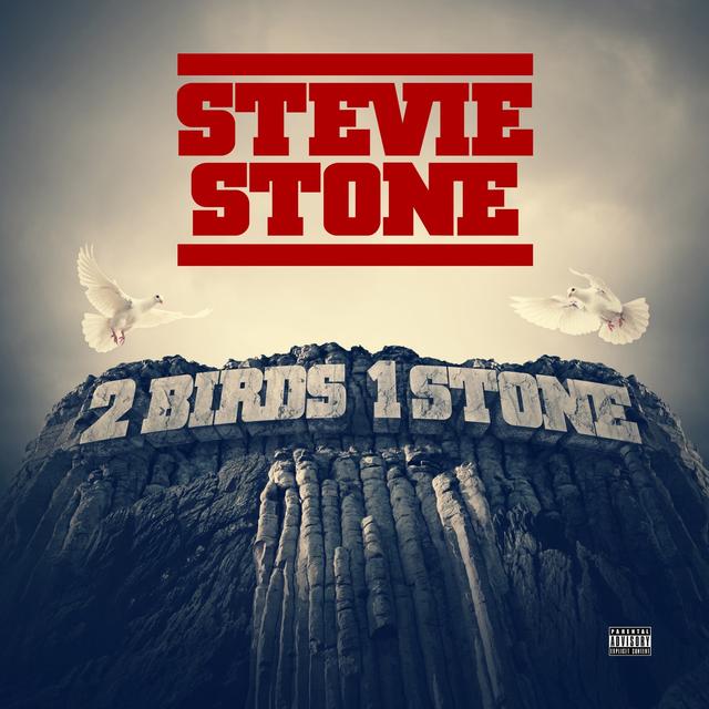 Album cover art for 2 Birds 1 Stone