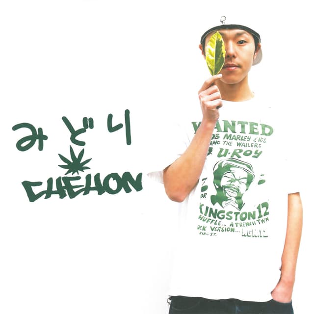 Album cover art for みどり (2016 Remastered Special Edition)