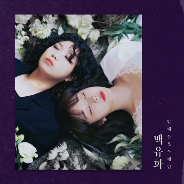 Album cover art for 백유화
