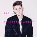 Album cover art for Er Nettet Nede?
