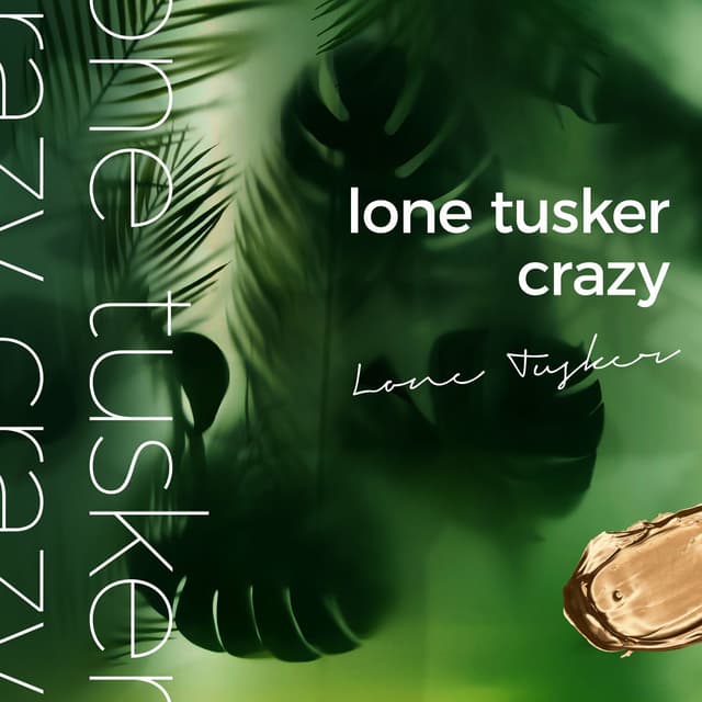 Album cover art for Crazy
