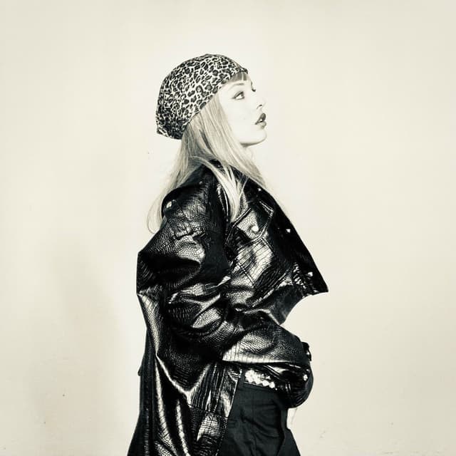 Album cover art for Džanes