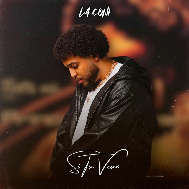 Album cover art for Si Tu Veux