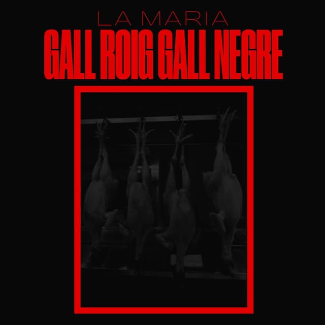 Album cover art for Gall roig, gall negre