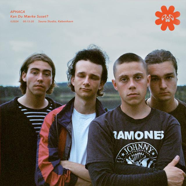 Album cover art for Kan Du Mærke Suset?