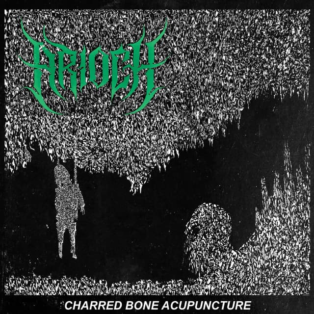 Album cover art for Charred Bone Acupuncture