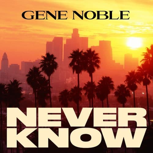 Album cover art for Never Know