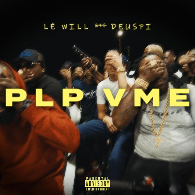 Album cover art for PLP VME
