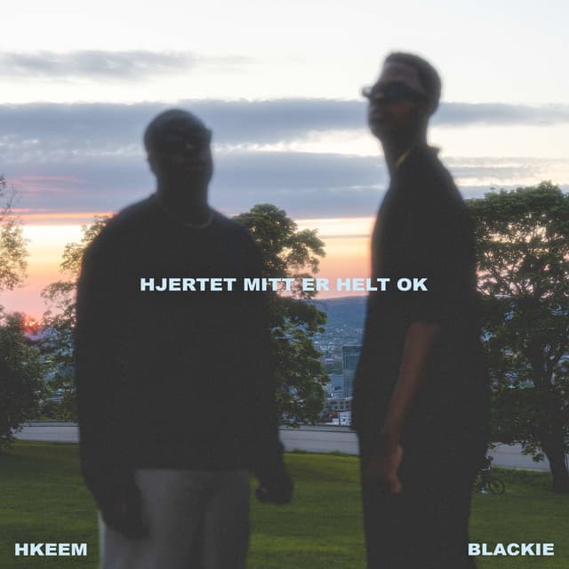 Album cover art for Hjertet Mitt Er Helt OK