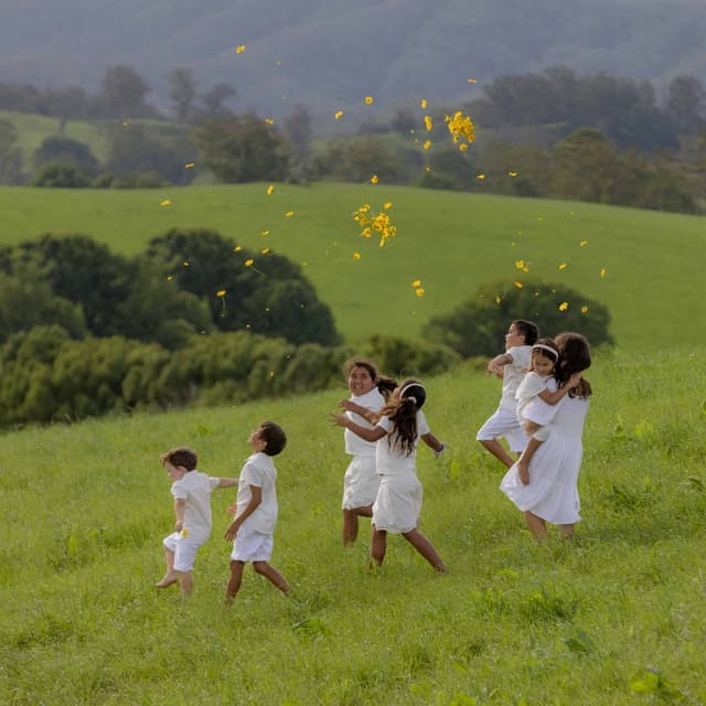 Album cover art for A Colour Undone