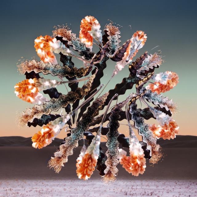 Album cover art for Perception