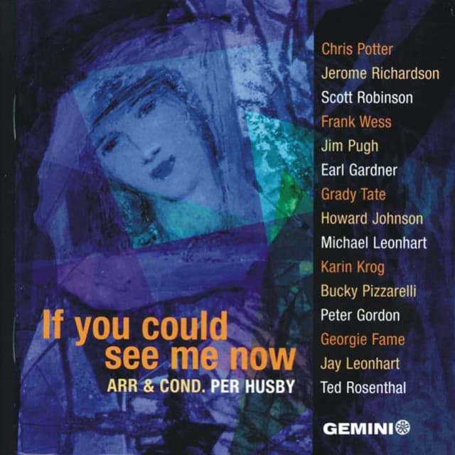 Album cover art for If You Could See Me Now