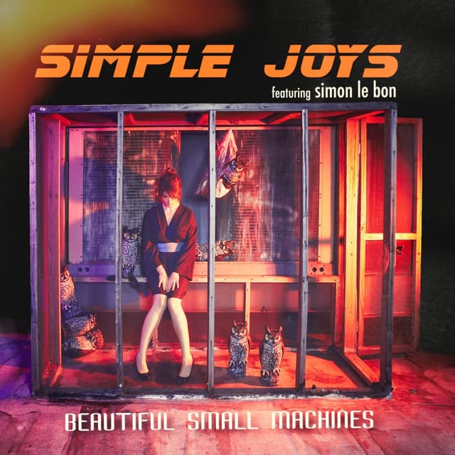 Album cover art for Simple Joys