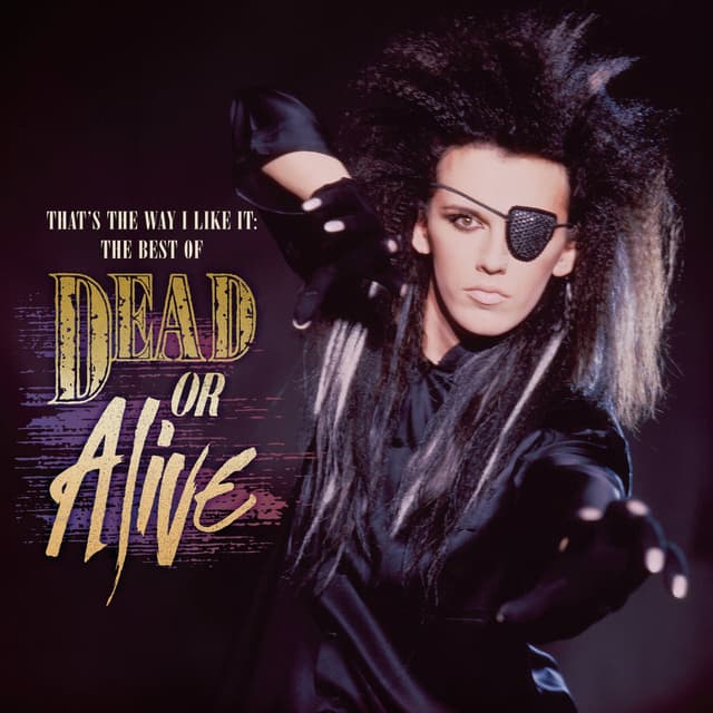 Album cover art for That's the Way I Like It : The Best of Dead Or Alive