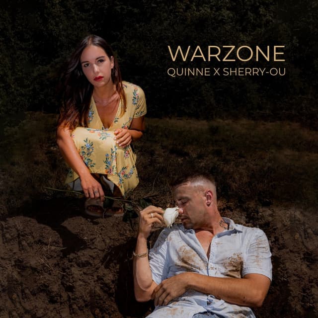 Album cover art for Warzone