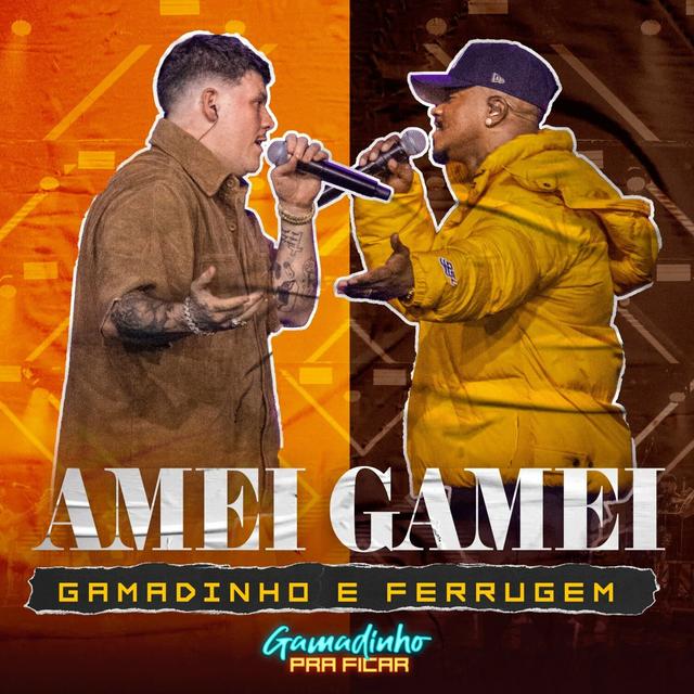 Album cover art for Amei, Gamei