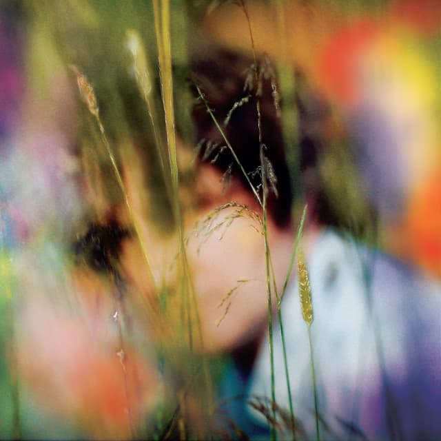 Album cover art for Sam Amidon