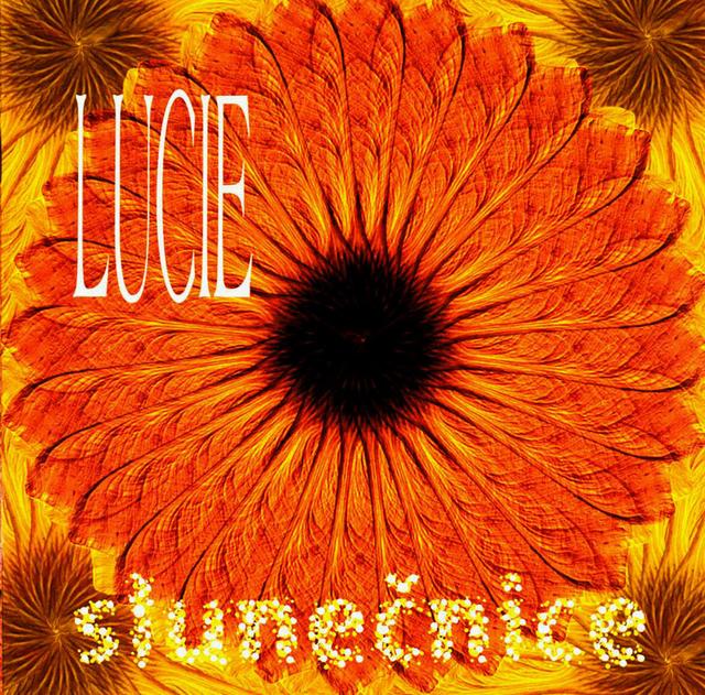 Album cover art for Slunečnice