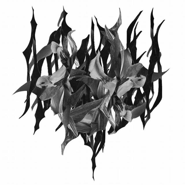 Album cover art for When Man Fails You