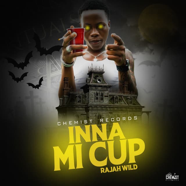 Album cover art for Inna Mi Cup
