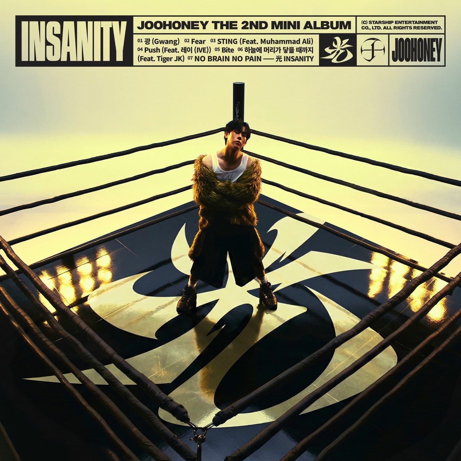 Lyric cover art